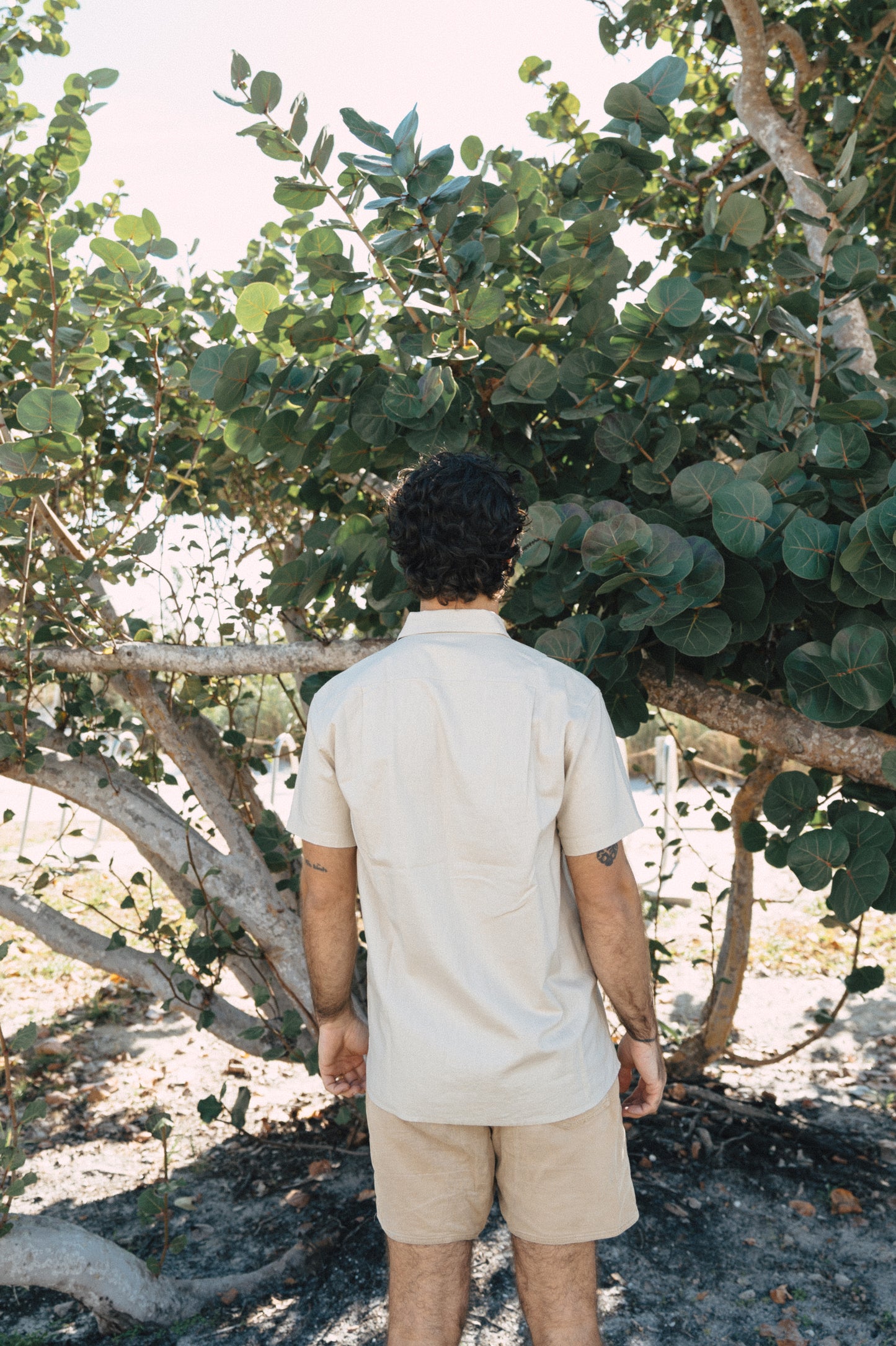 Casa Solid Button Up