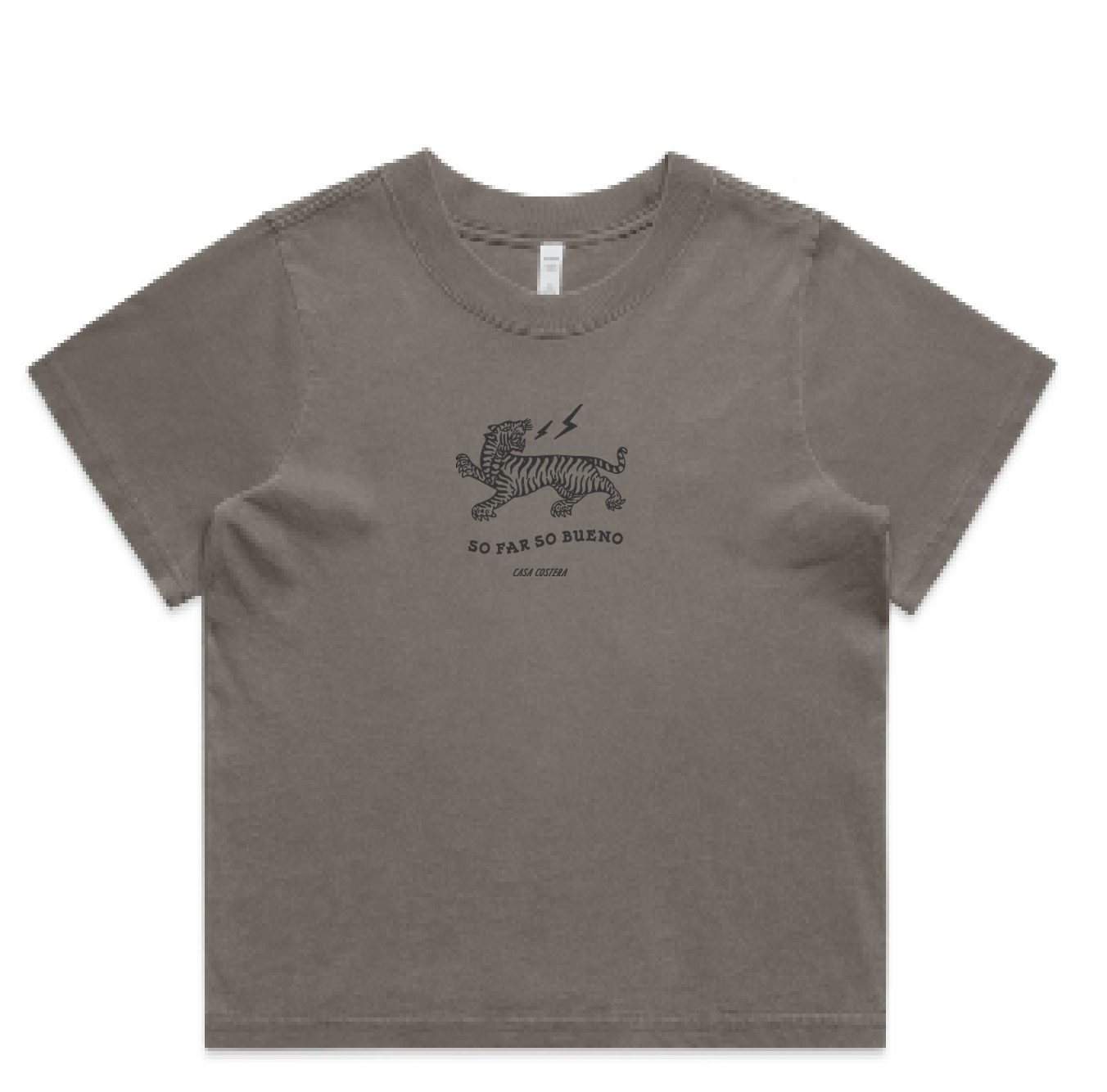 So Far So Bueno Heavy Faded Crop Top