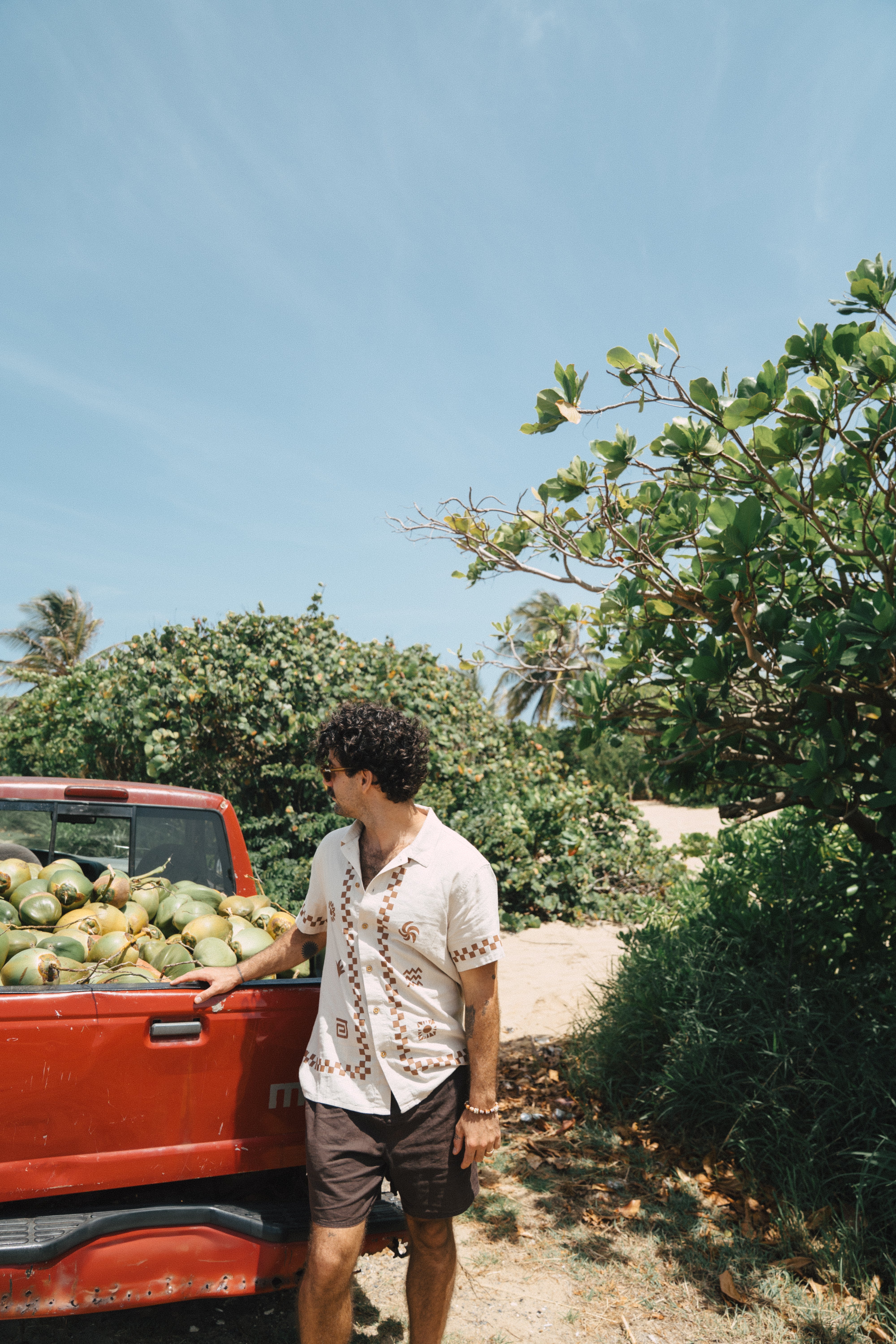 Casa Linen Shorts