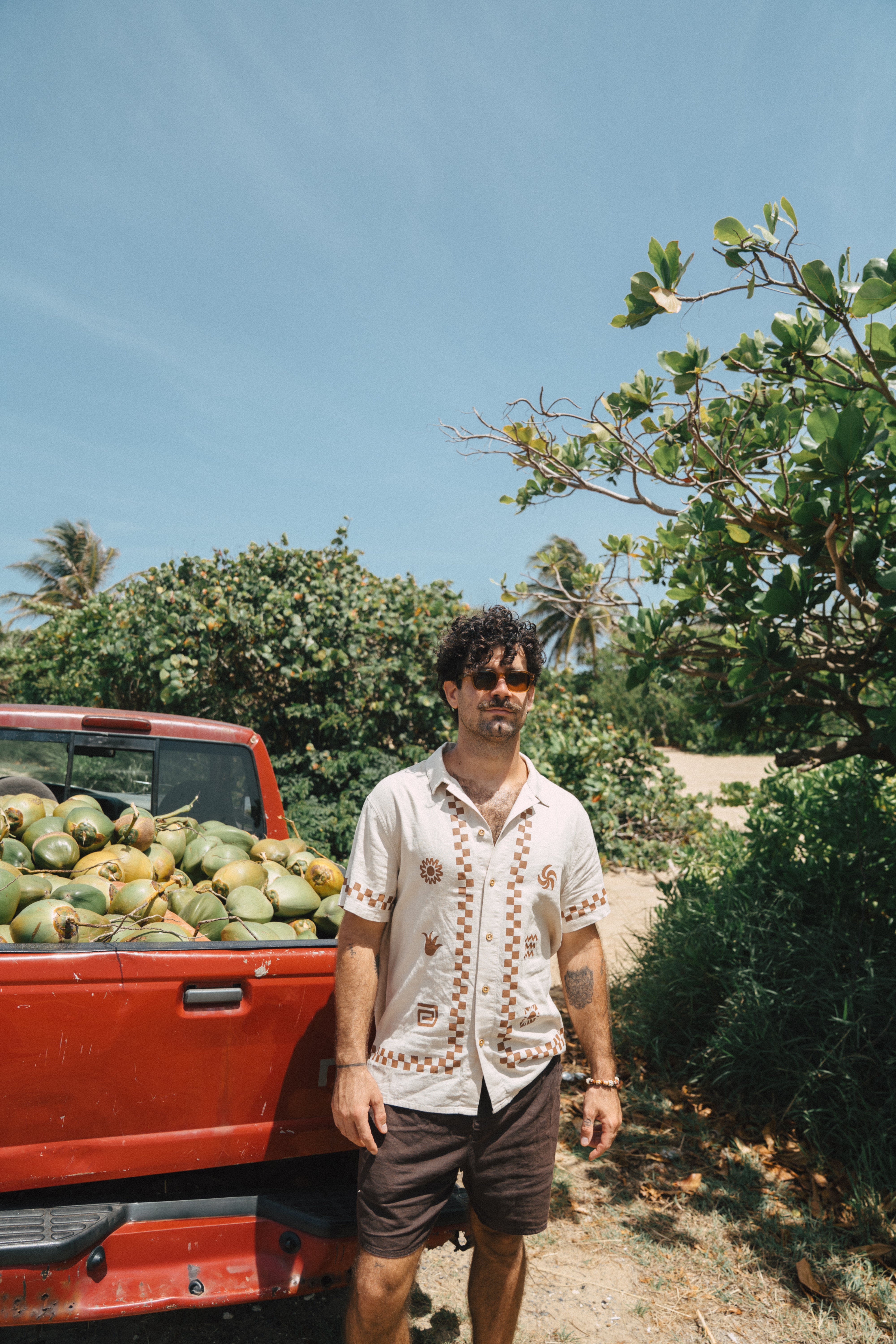 Casa Linen Shorts