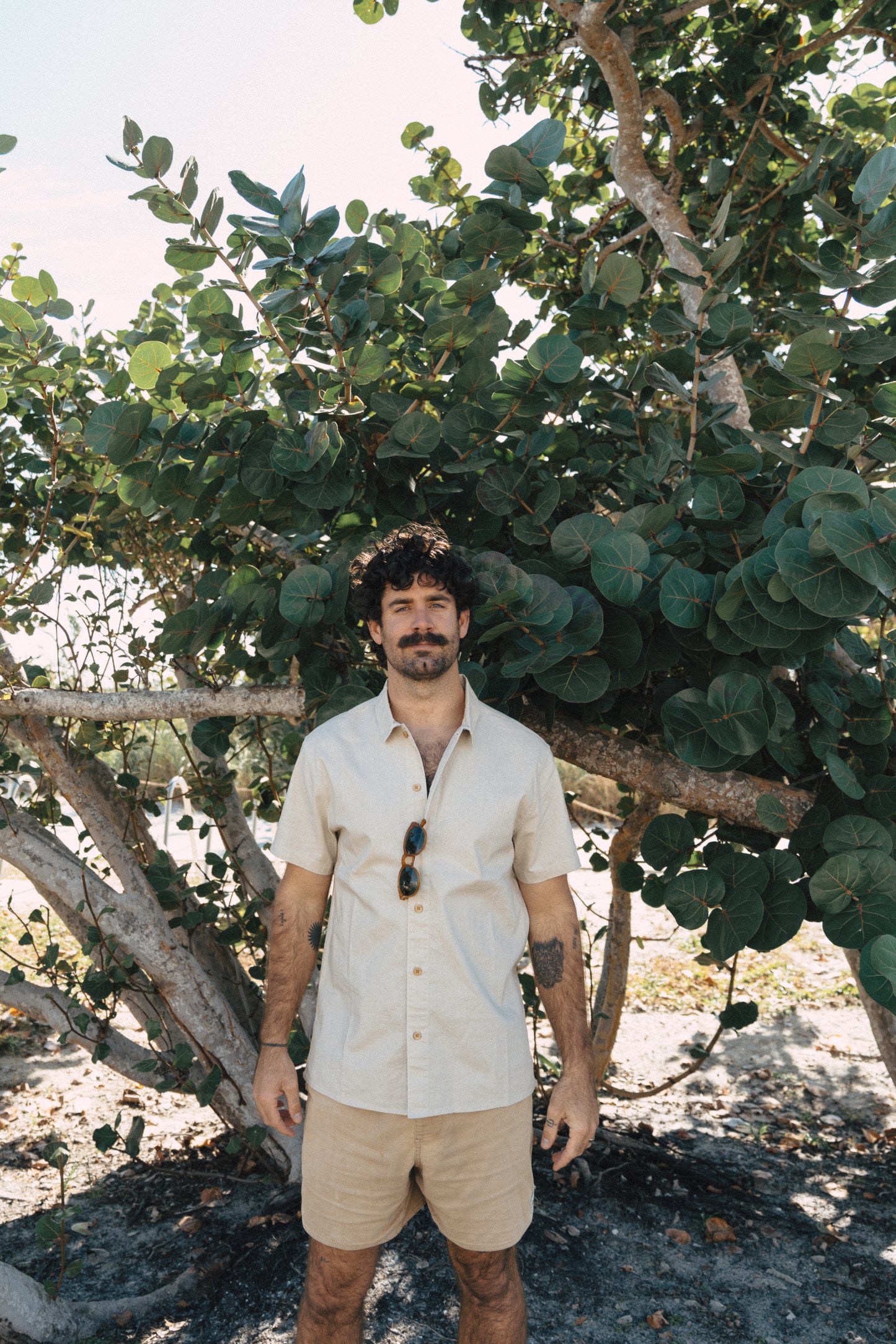 Casa Solid Button Up