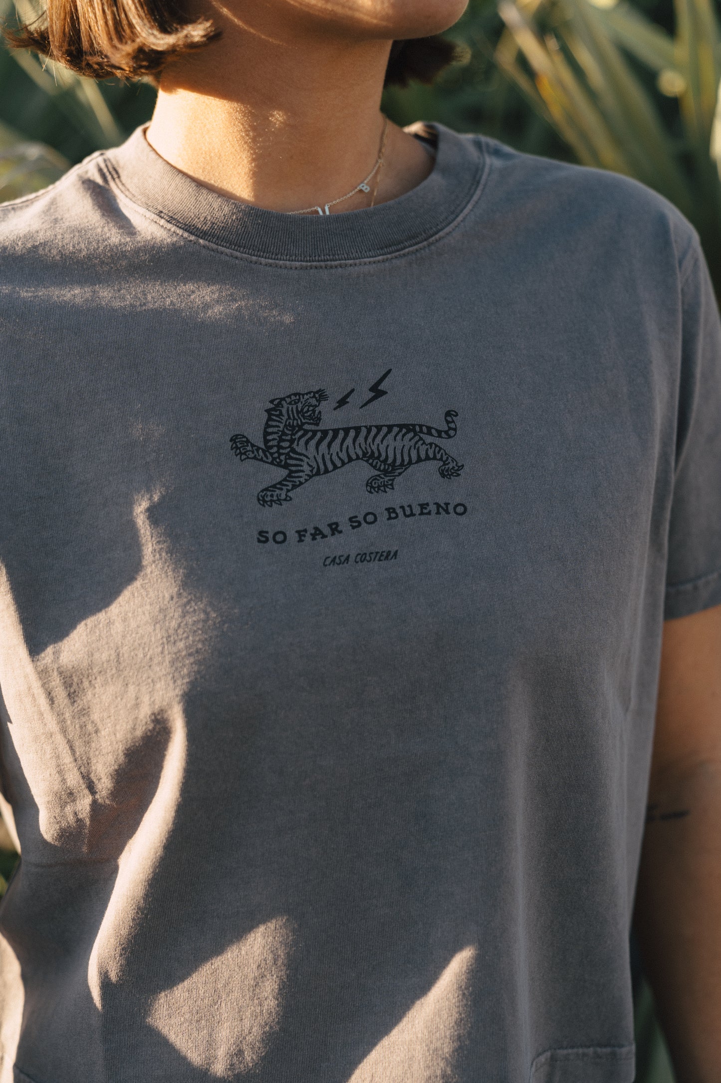 So Far So Bueno Crop