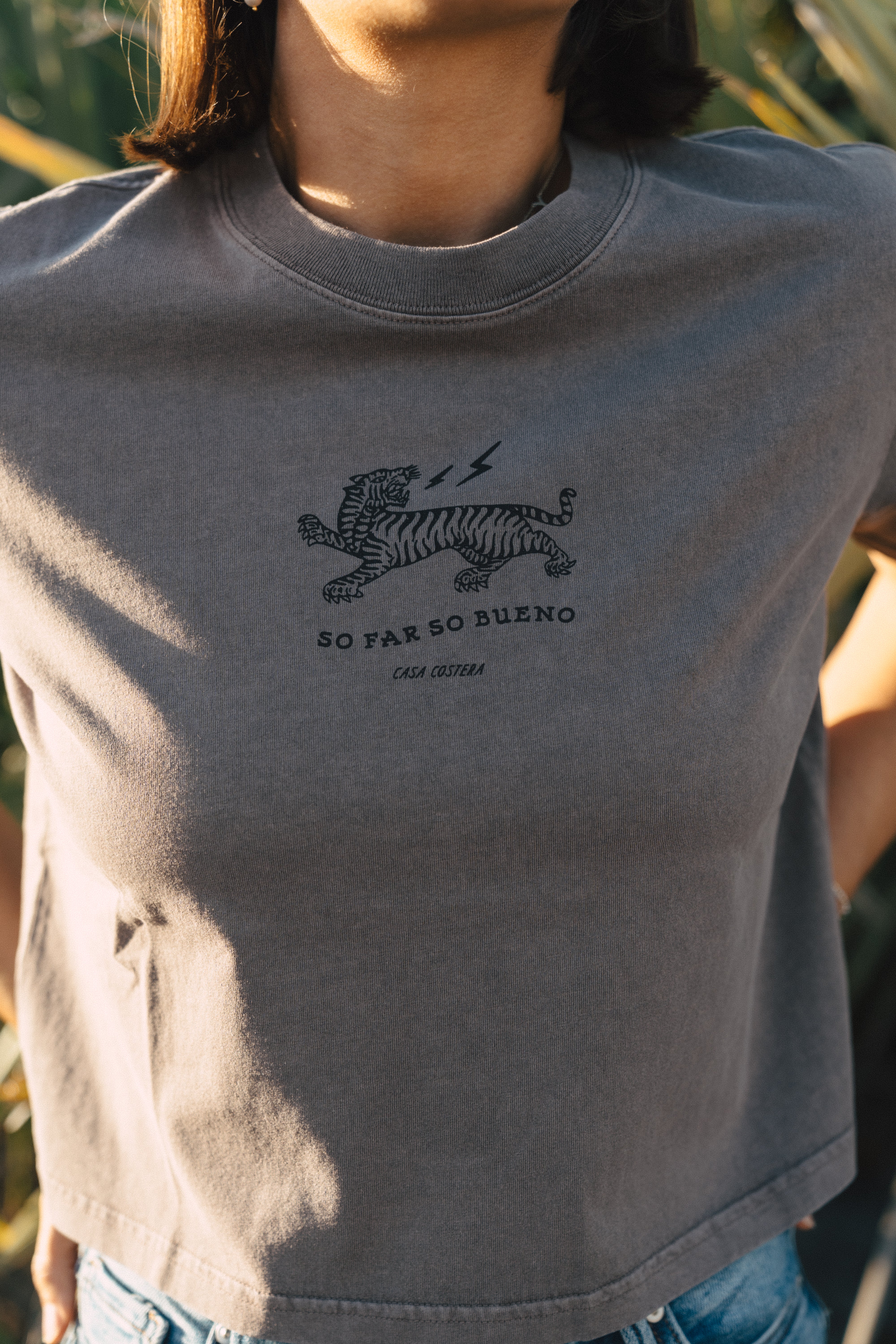 So Far So Bueno Crop