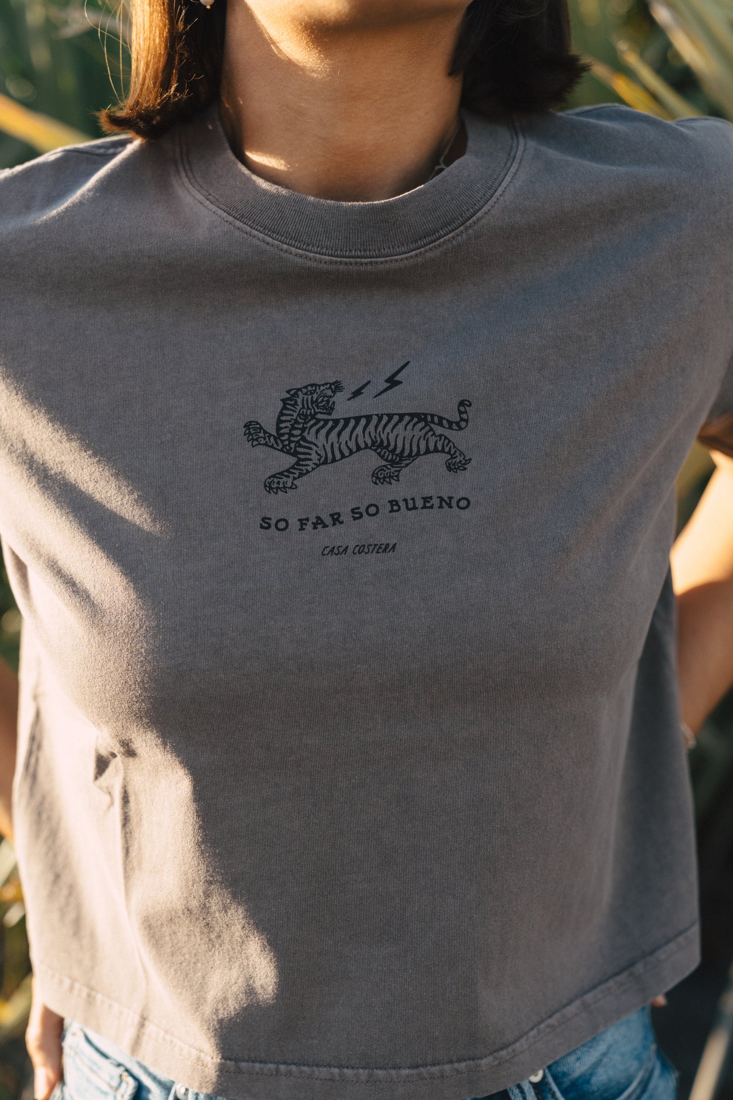 So Far So Bueno Crop