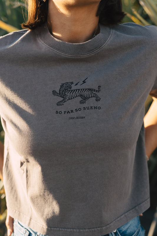 So Far So Bueno Crop